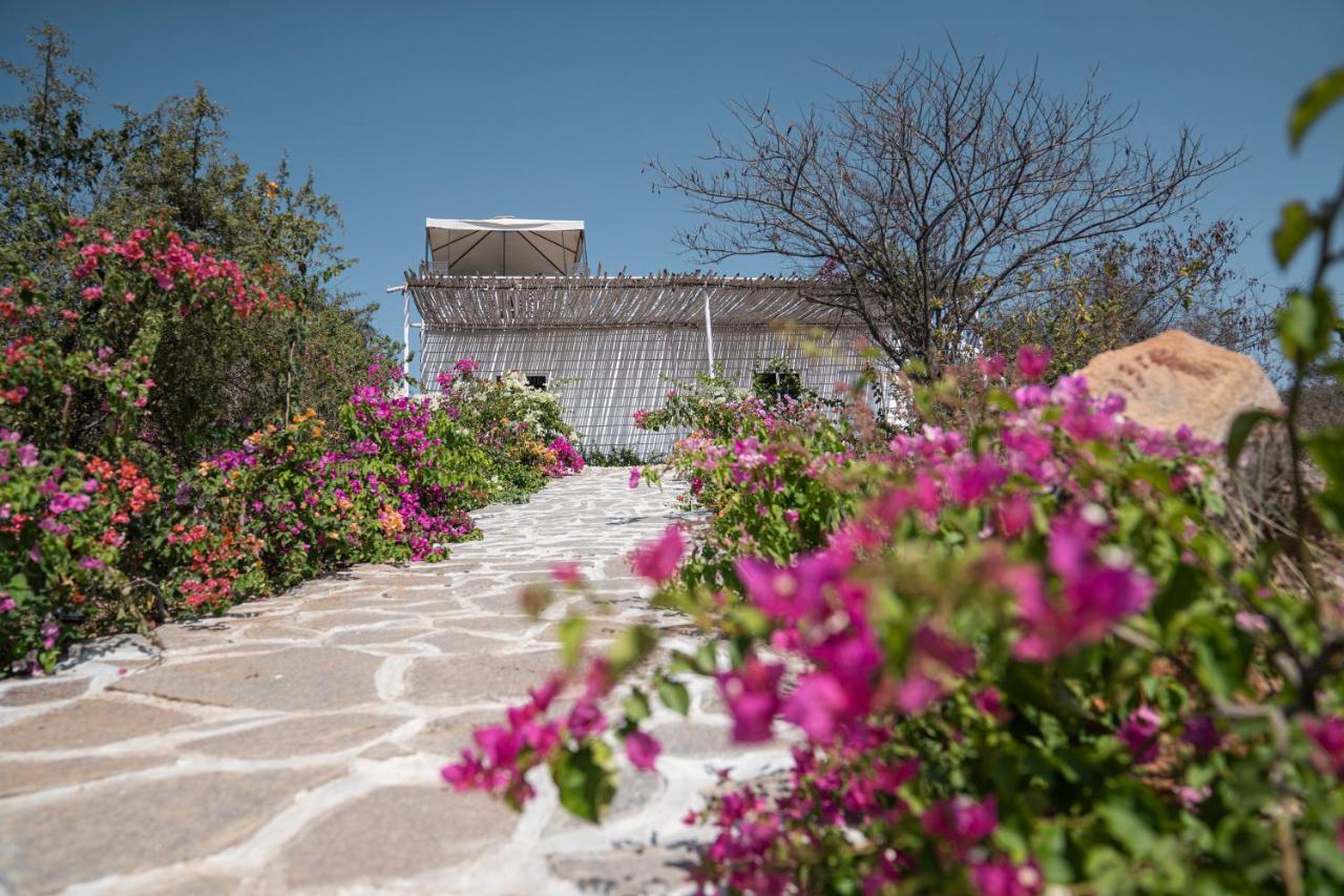 Rustic Vogue Ξενοδοχείο Shamirpet Εξωτερικό φωτογραφία
